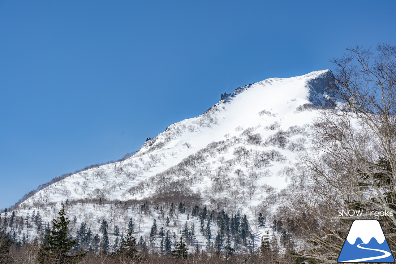 大雪山層雲峡・黒岳ロープウェイスキー場｜只今の積雪 360cm！『神々の遊ぶ庭』に降り積もる雪は、やはり別物でした(^^)v